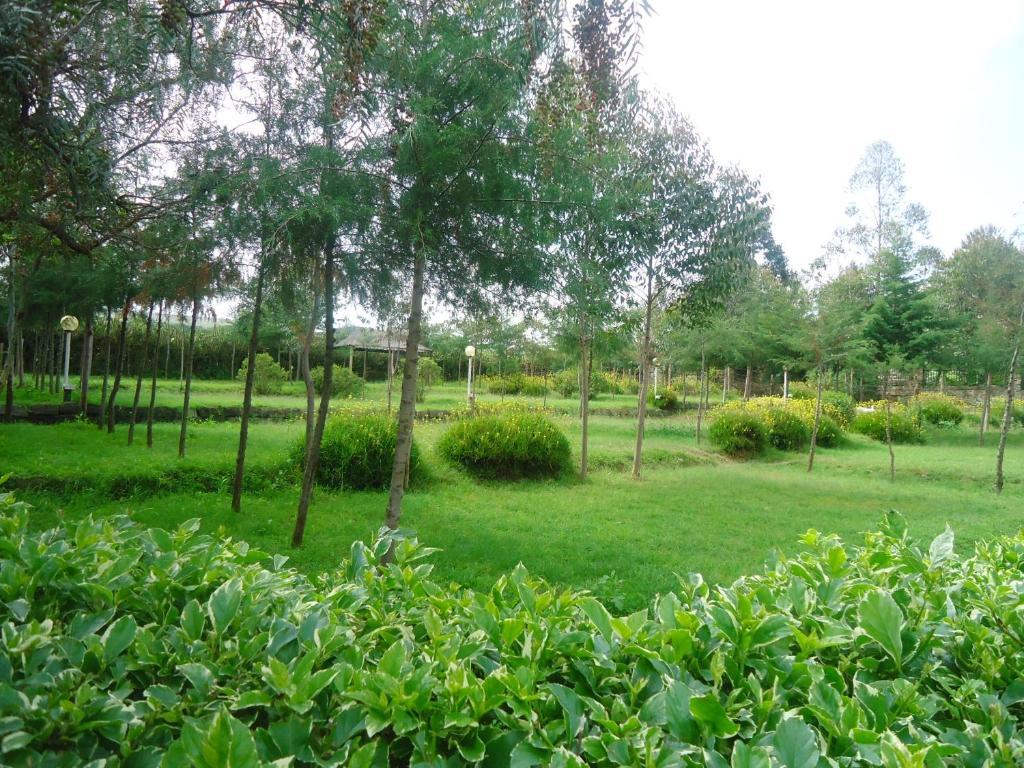 Triple Eden Resort - Naivasha Pokoj fotografie